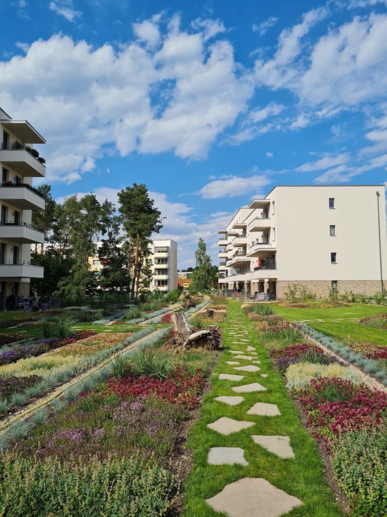 Neubau Wohnungen Ludwigsfelde Clara Zetkin Straße Märkische Heimat