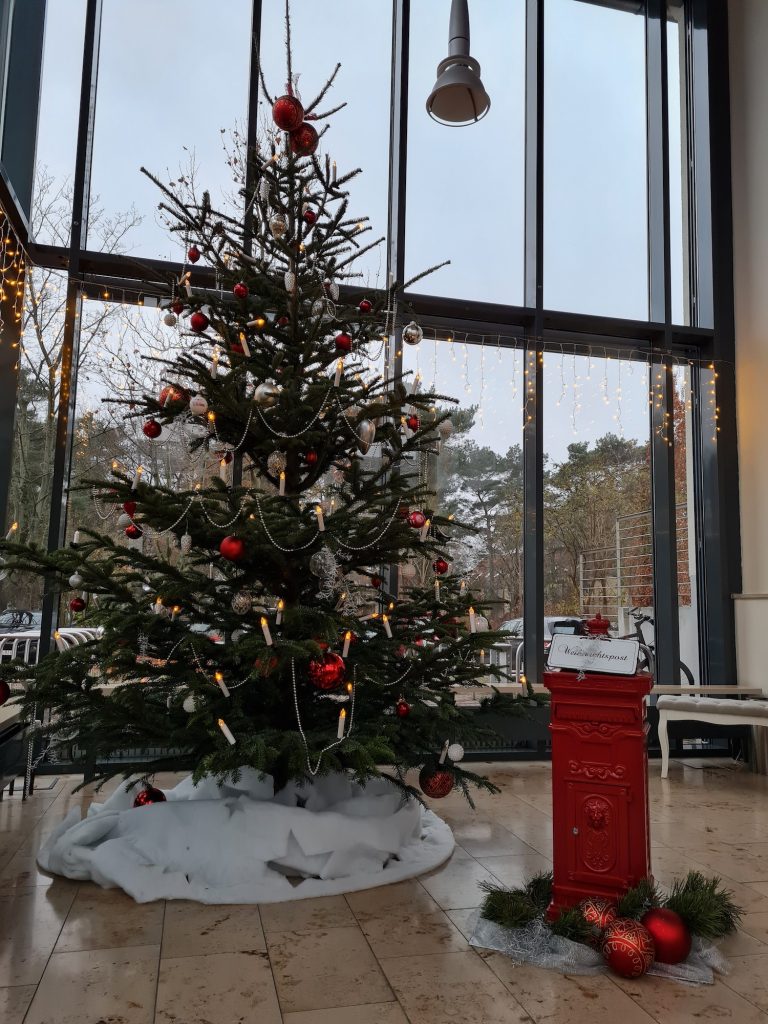 Weihnachtsbaum Märkische Heimat Weihnachten